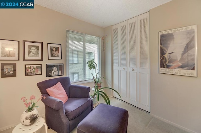 sitting room featuring a textured ceiling and light colored carpet