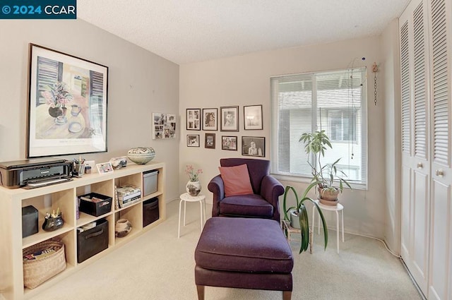 sitting room featuring carpet floors and a healthy amount of sunlight