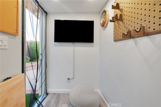 bathroom featuring wood-type flooring