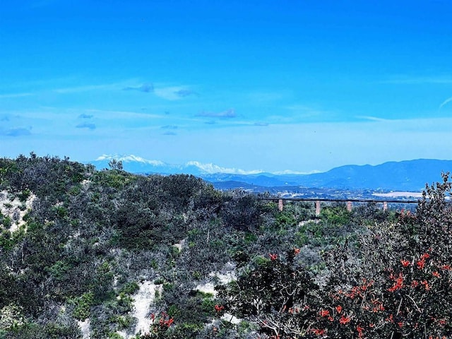 view of mountain feature