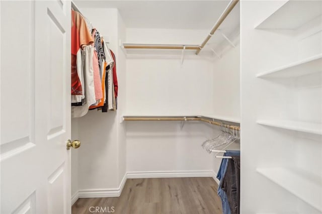 spacious closet featuring light wood-type flooring