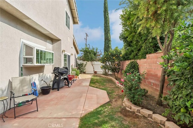 view of yard featuring a patio area