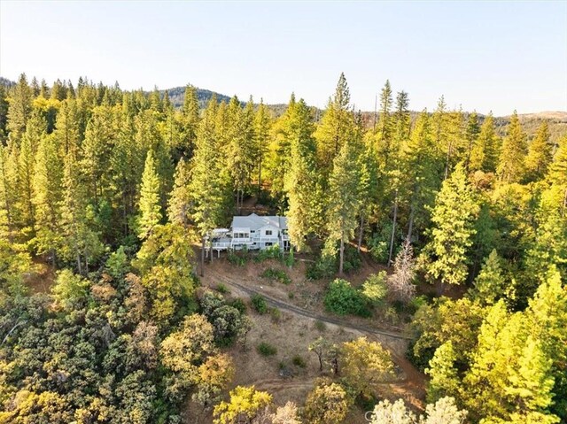 141 Powell Ridge Rd, Oroville, CA 95966 - photo 51