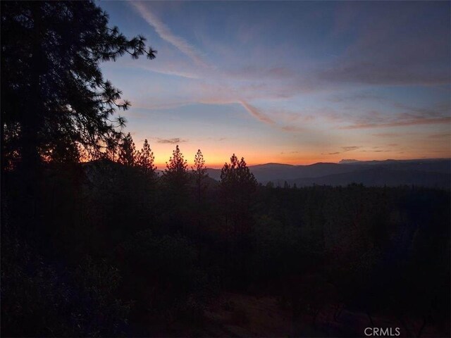141 Powell Ridge Rd, Oroville, CA 95966 - photo 59