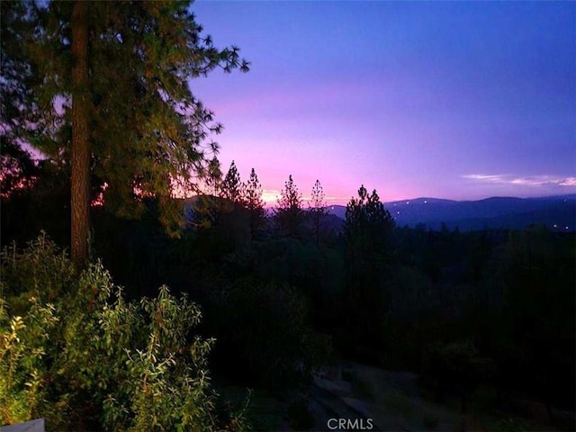 141 Powell Ridge Rd, Oroville, CA 95966 - photo 58