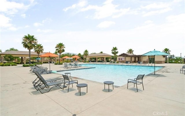 view of pool featuring a patio