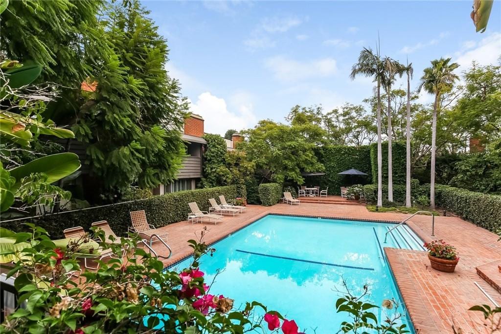 view of swimming pool with a patio area