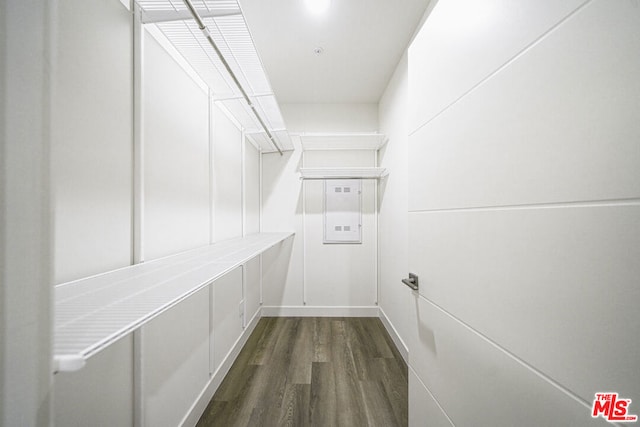 walk in closet with dark hardwood / wood-style flooring