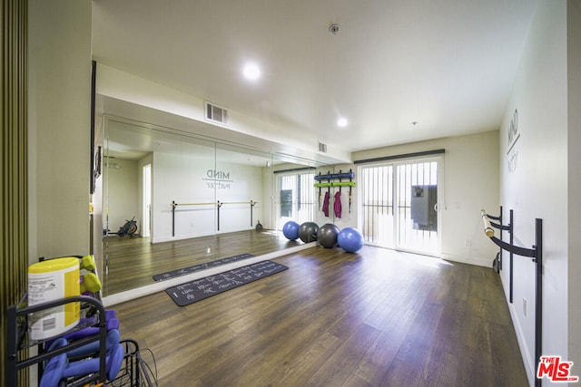 workout area featuring dark hardwood / wood-style flooring