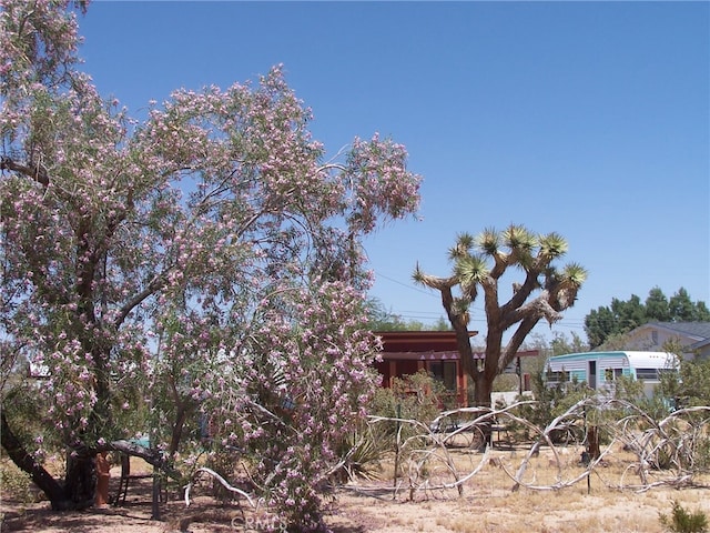 64838 Walpi Dr, Joshua Tree CA, 92252 land for sale