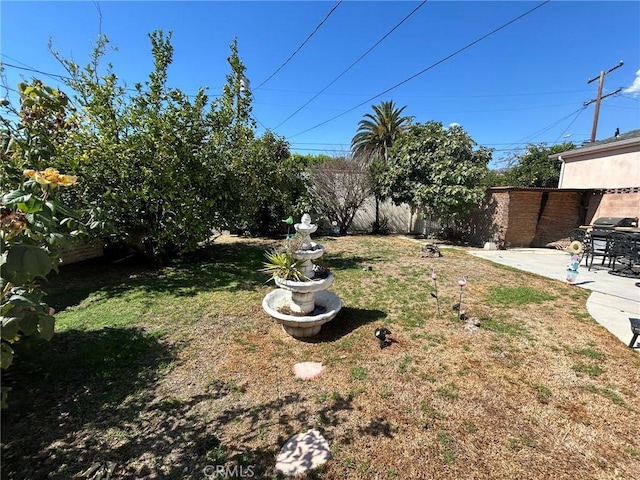 view of yard featuring a patio area