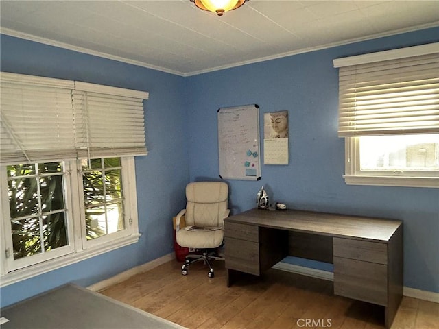 office with hardwood / wood-style floors and crown molding