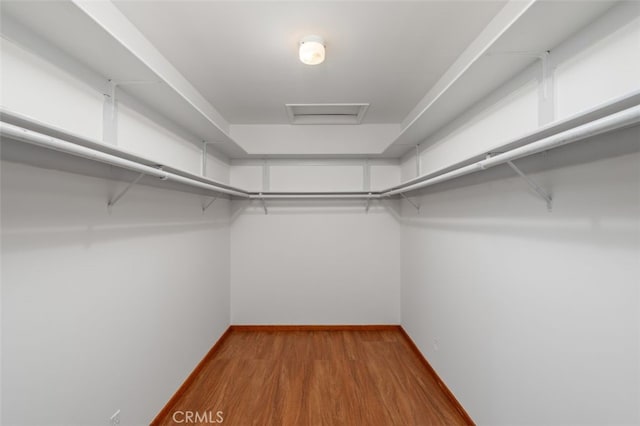 spacious closet with light hardwood / wood-style floors