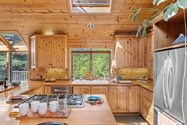 kitchen with appliances with stainless steel finishes, sink, a wealth of natural light, and a skylight