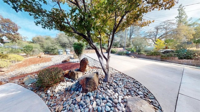 5002 Royal Oaks Dr, Oroville, CA 95966 - photo 47