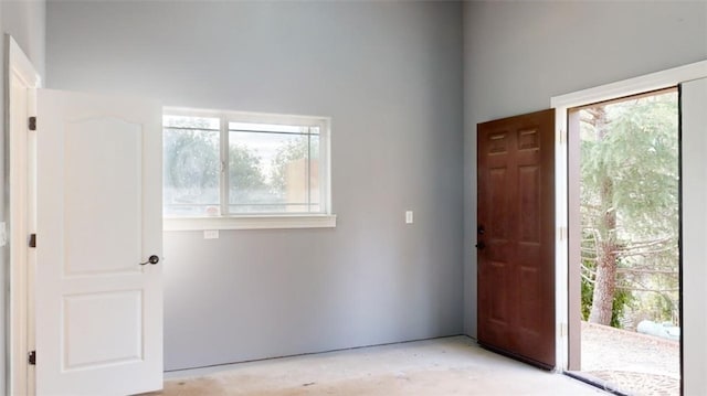 entrance foyer featuring a wealth of natural light