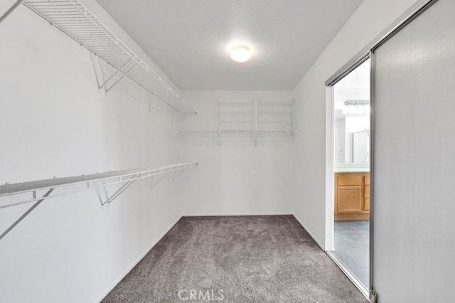 walk in closet with carpet