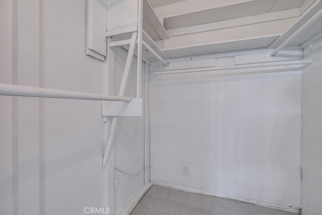 walk in closet featuring light carpet