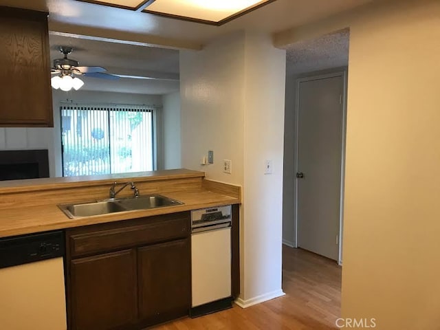 kitchen featuring dark brown cabinetry, ceiling fan, sink, light hardwood / wood-style flooring, and white dishwasher