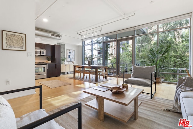 living room with light hardwood / wood-style flooring