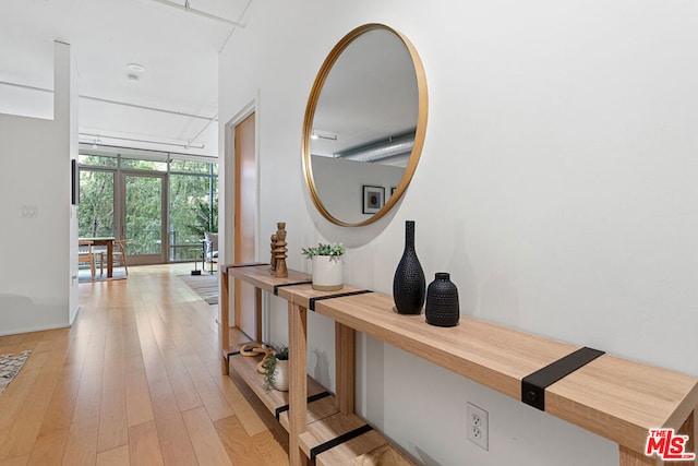 hallway featuring a wall of windows and light hardwood / wood-style flooring