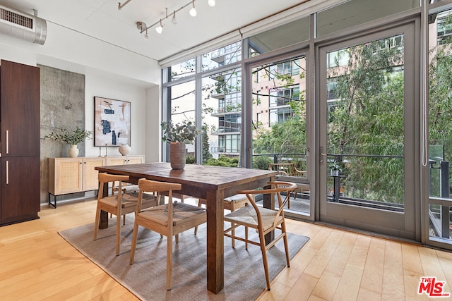 dining room with plenty of natural light and light wood-type flooring