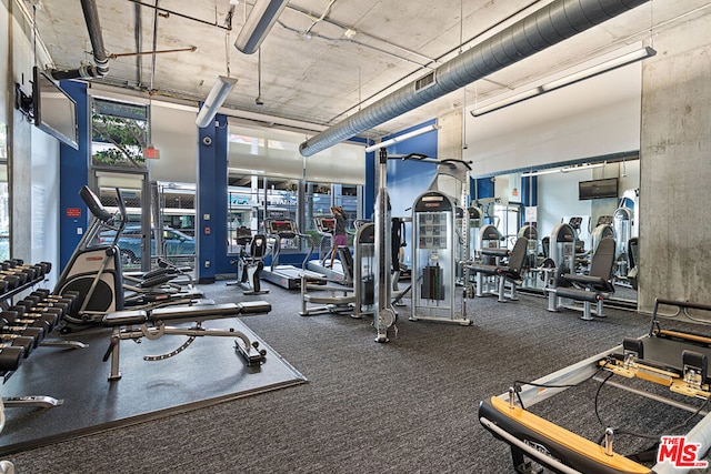 gym with carpet