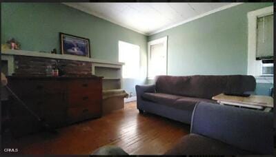 living room with crown molding and wood-type flooring