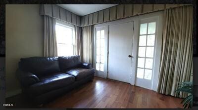 living room featuring wood-type flooring