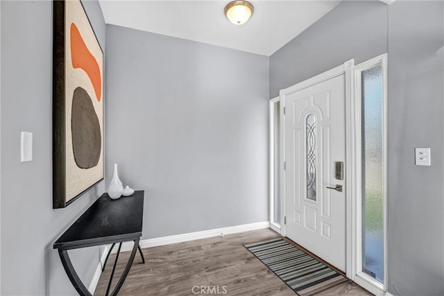 entrance foyer with wood-type flooring