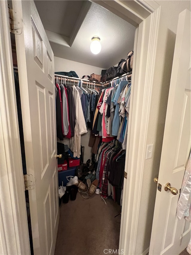 walk in closet featuring carpet floors