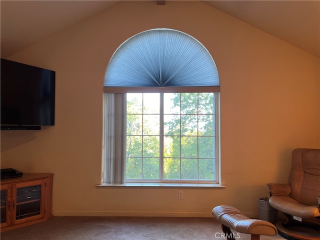 sitting room with lofted ceiling, carpet floors, and a healthy amount of sunlight