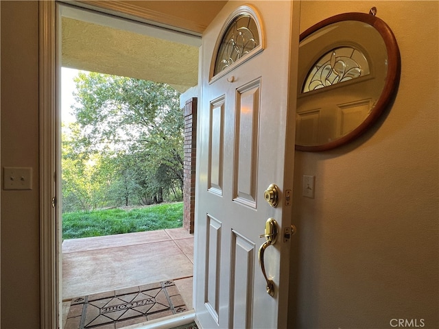 doorway featuring a wealth of natural light