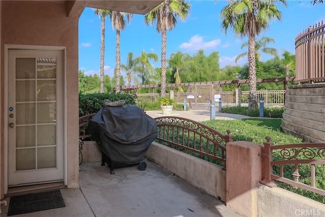 view of patio / terrace with grilling area