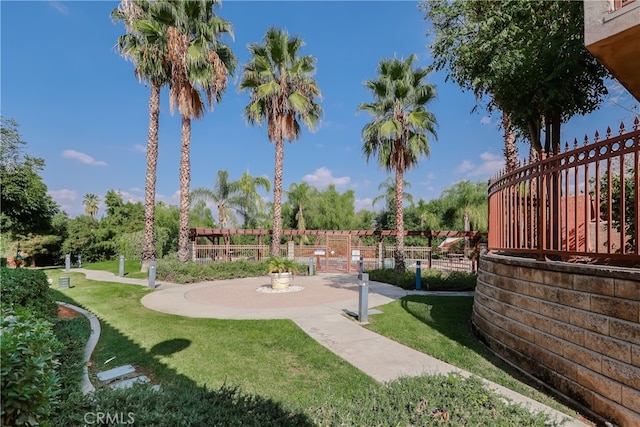 view of yard featuring a patio