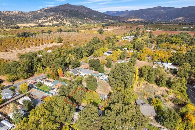 birds eye view of property featuring a mountain view