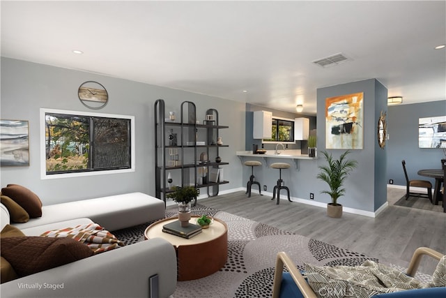 living room with hardwood / wood-style floors and plenty of natural light