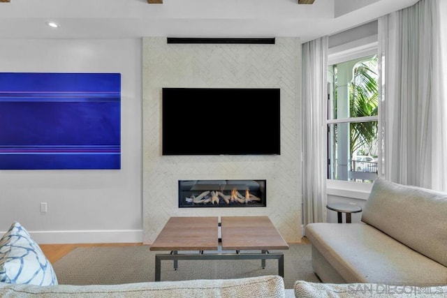 living room featuring a large fireplace and wood-type flooring