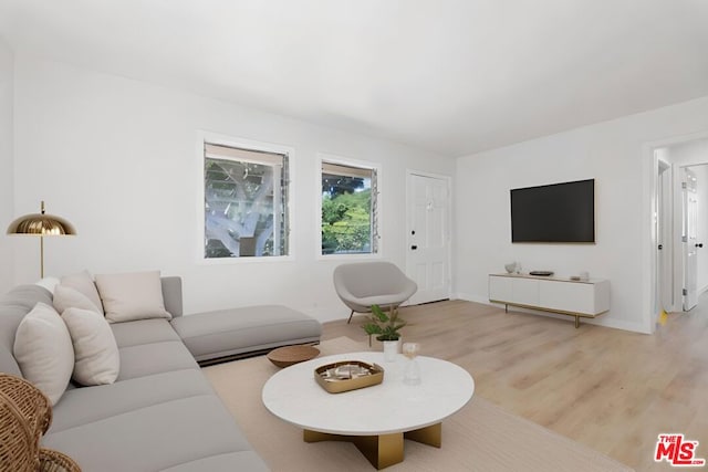 living room featuring light hardwood / wood-style flooring