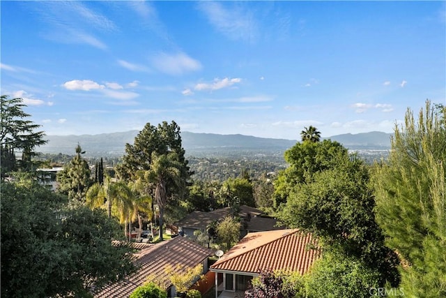 16551 Calneva Dr, Encino, CA 91436 - photo 58