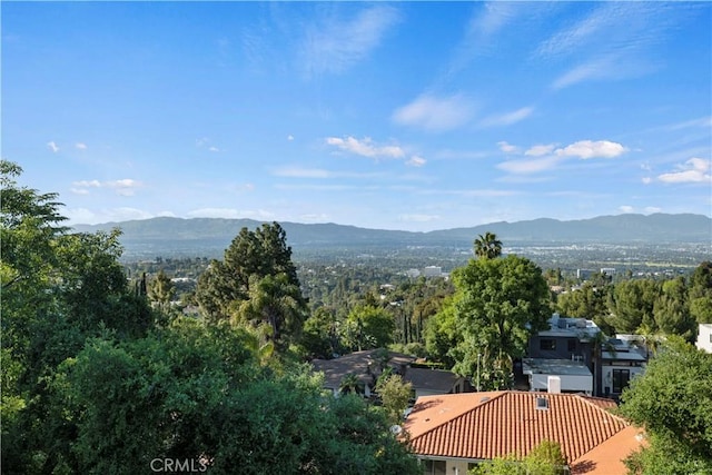 16551 Calneva Dr, Encino, CA 91436 - photo 54