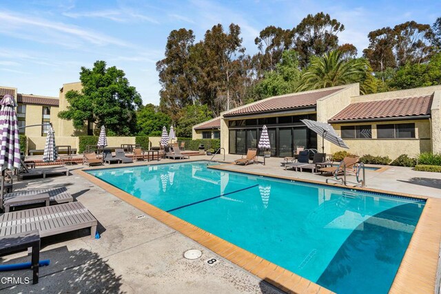 view of pool with a patio area