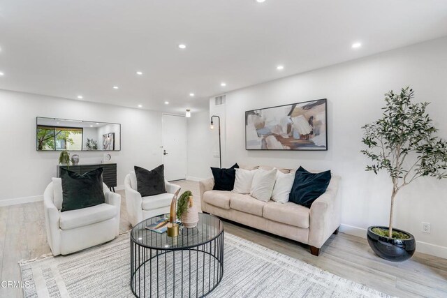 living room featuring light hardwood / wood-style flooring