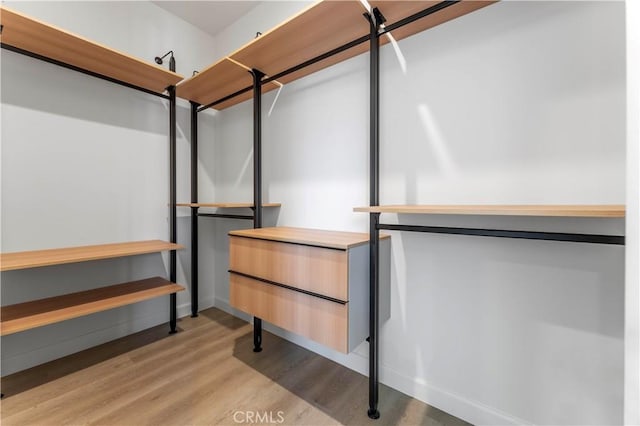 spacious closet featuring light wood-type flooring