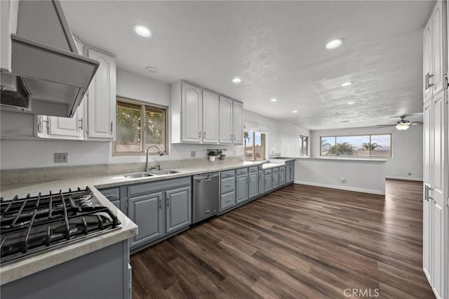 kitchen featuring dark hardwood / wood-style flooring, stainless steel appliances, a healthy amount of sunlight, and sink