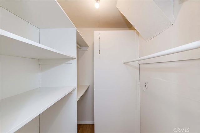 spacious closet with wood-type flooring