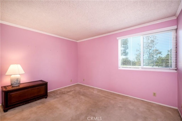 empty room featuring light colored carpet, crown molding, and a textured ceiling