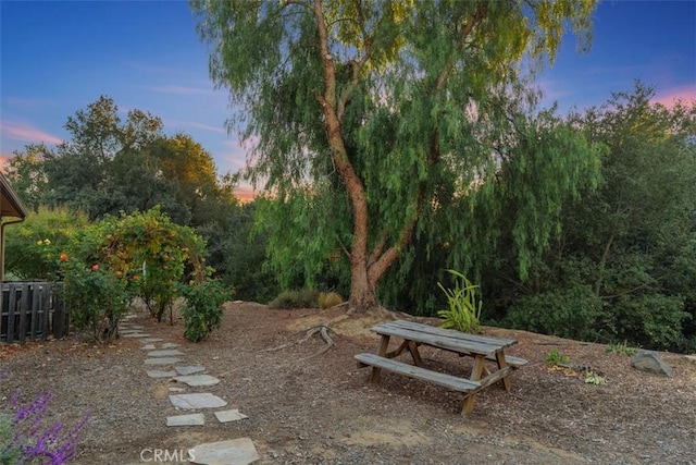 view of yard at dusk