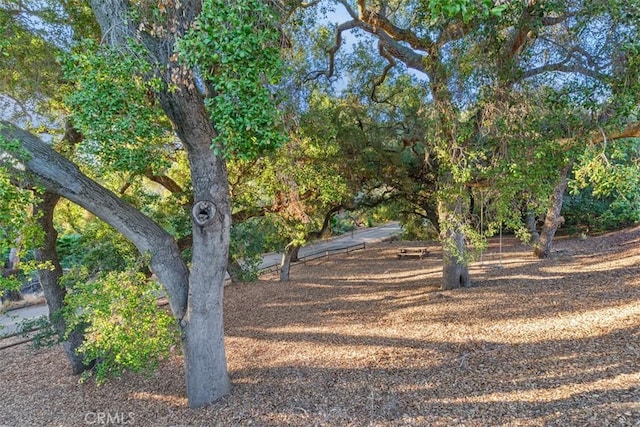 45600 La Cruz Dr, Temecula, CA 92590 - view of yard