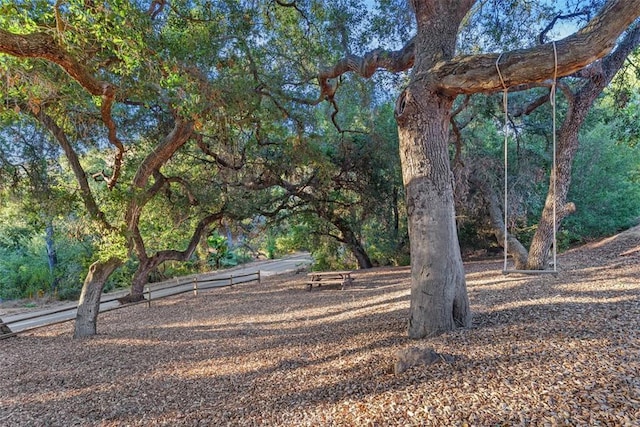 45600 La Cruz Dr, Temecula, CA 92590 - view of yard